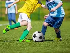 季后赛,深圳对阵辽,赵继伟亮点,香港赛马会,香港马会,赛马赛事,赛马资讯